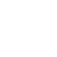 Reportes Analíticos